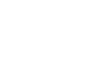 sunseas icone